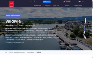 Valdivia Home Team