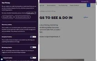 Stirling Real Estate website