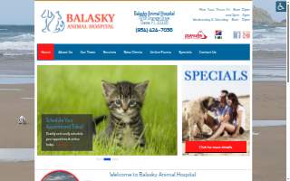 Balasky Animal Hospital