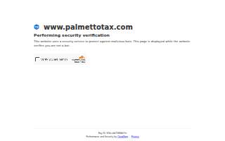 Palmetto Tax Service of Charleston, Inc.