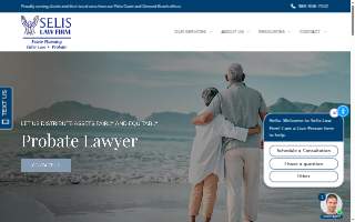 Selis Law Firm