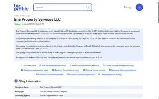 BNE Property Services LLC website