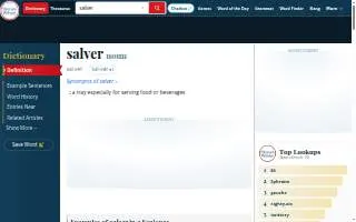 Salver LLC website