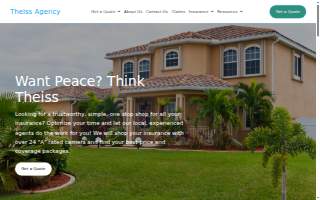 Theiss Agency