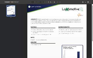 The Lokomotive