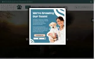 Atlantic Animal Hospital – Port Orange website