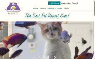 Pawsitively Pets Animal Hospital