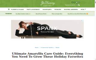 Amaryllis Hair Lounge