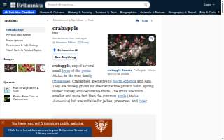 Crabapple Financial Services, Inc.