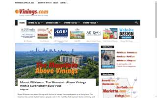 Vinings Landscape Group, Inc.