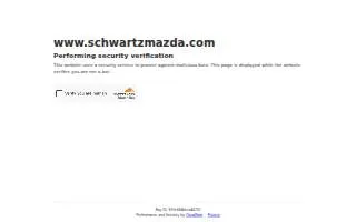 Schwartz Tax Service website