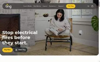 Ting's Place website