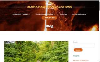 Aina 1 Plumbing