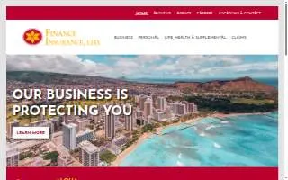 Finance Insurance, Ltd: Louis Fernandez website