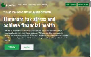 Taxes Plus