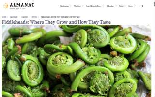 Fiddlehead Gardens