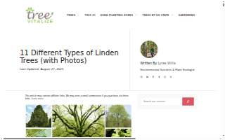 Linden Family Chiropractic and Rehab