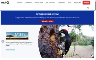 MPT Plumbing