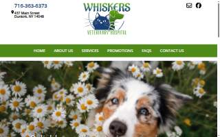 Westfield Veterinary Hospital