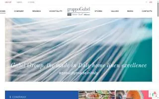 Gabel Chiropractic website