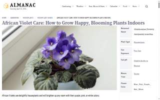 Violets Office QuickBooks Bookkeeping, Payroll