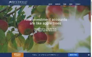Woodfield Financial Advisors, Inc. of Schaumburg website