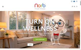 Norb & Sons Electric Inc