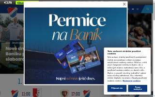 Banik & Renner