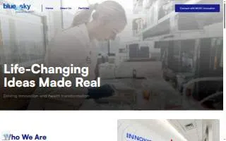 Blue Sky Labs website