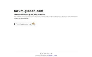 Gibson Plumbing website
