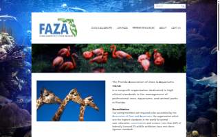 Faza Electric Services Inc.