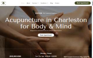 Johns Island Acupuncture