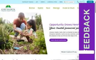 Greylock Insurance Agency of Pittsfield website