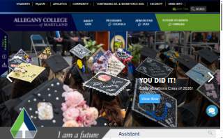 Allegany Business