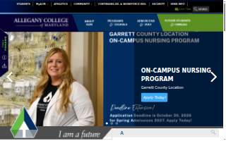 Allegany Service website