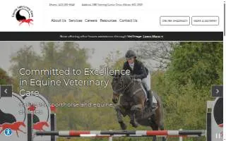 Equine Veterinary Care website