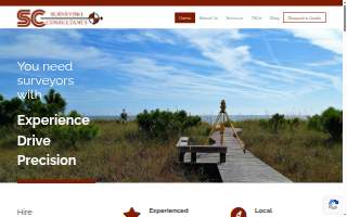 Surveying Consultants