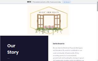 Bright View Realty Llc