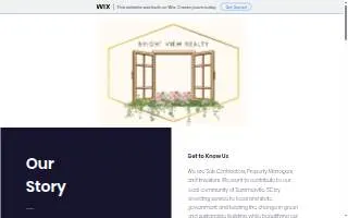 Bright View Realty Llc website