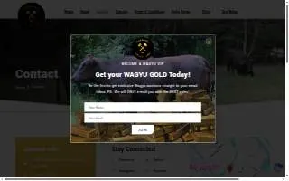 Stud Wagyu Auction website
