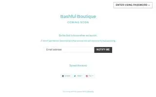 Bashful Boutique website