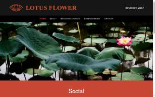 Lotus Flower