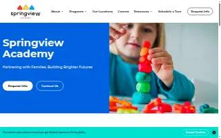 Springview Academy of Mt Pleasant website