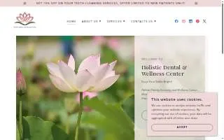 Holistic Dental And Wellness Center website