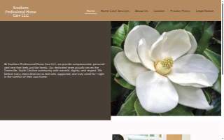 Southern Professional Home Care