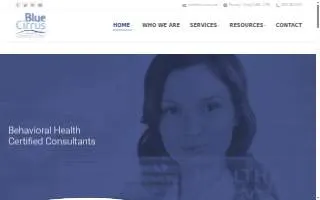 Blue Cirrus Consulting website