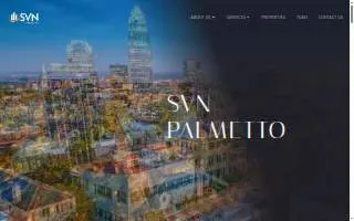 SVN | Palmetto website