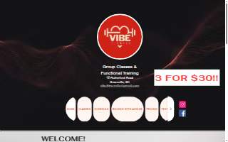 Vibe Fitness LLC