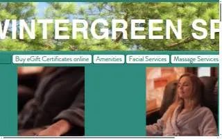 Wintergreen SPA Greenville SC website