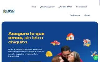 Zivo Insurance of Greenville website